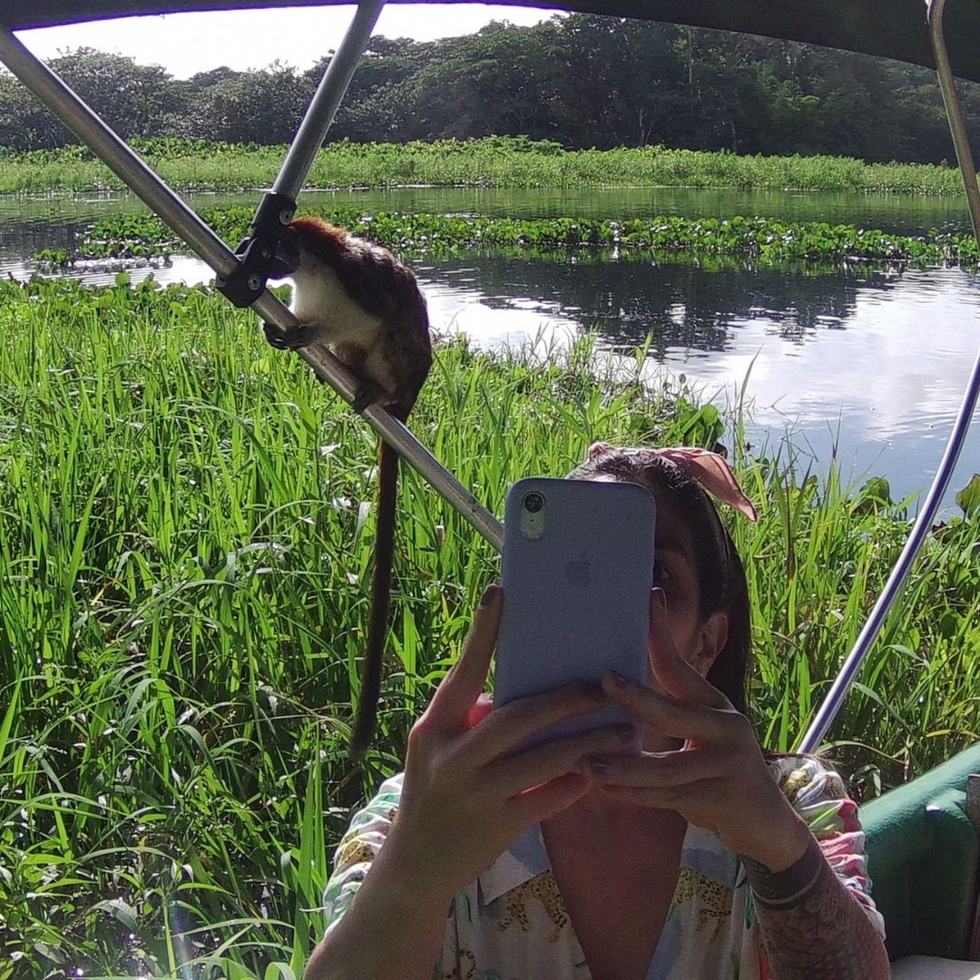 Picture of a sunset at the beach